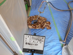 tyuunyuu(iwakisiesugiken) (3).JPG