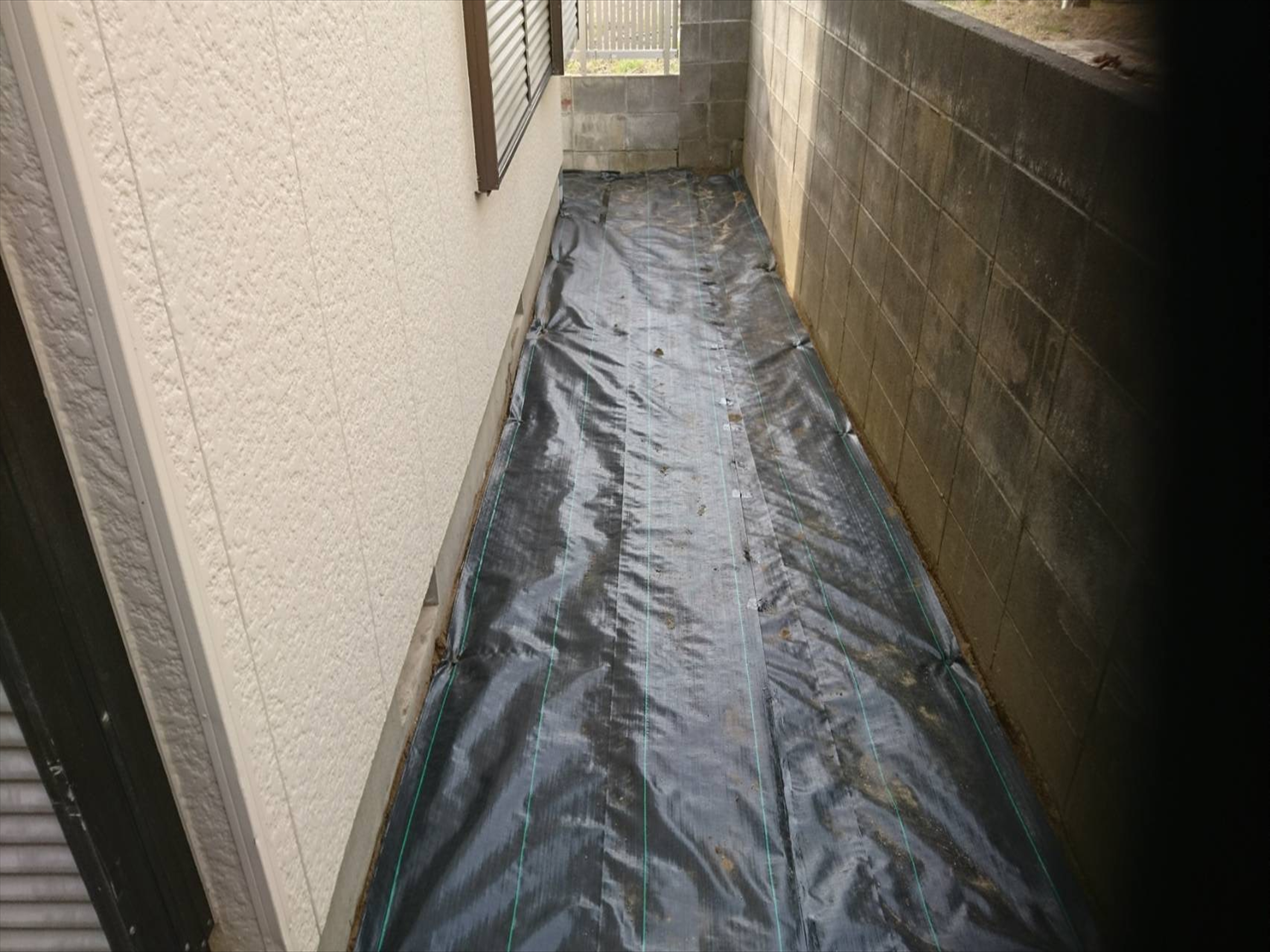 sekoukan(R4.12.8-R5.1.13) (2)s.JPG