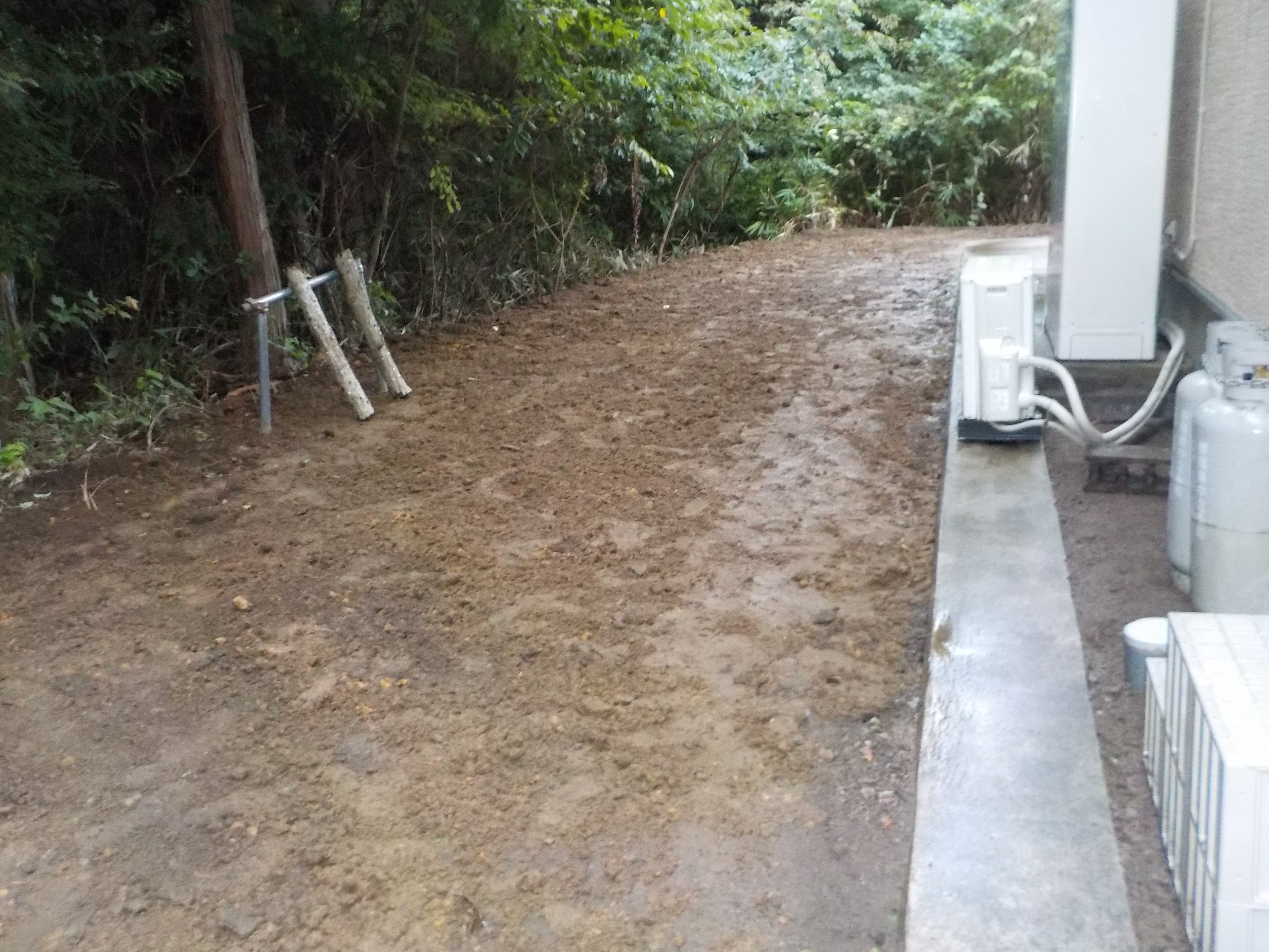 sekoukan(R4.8.10-9.22) (2).JPG