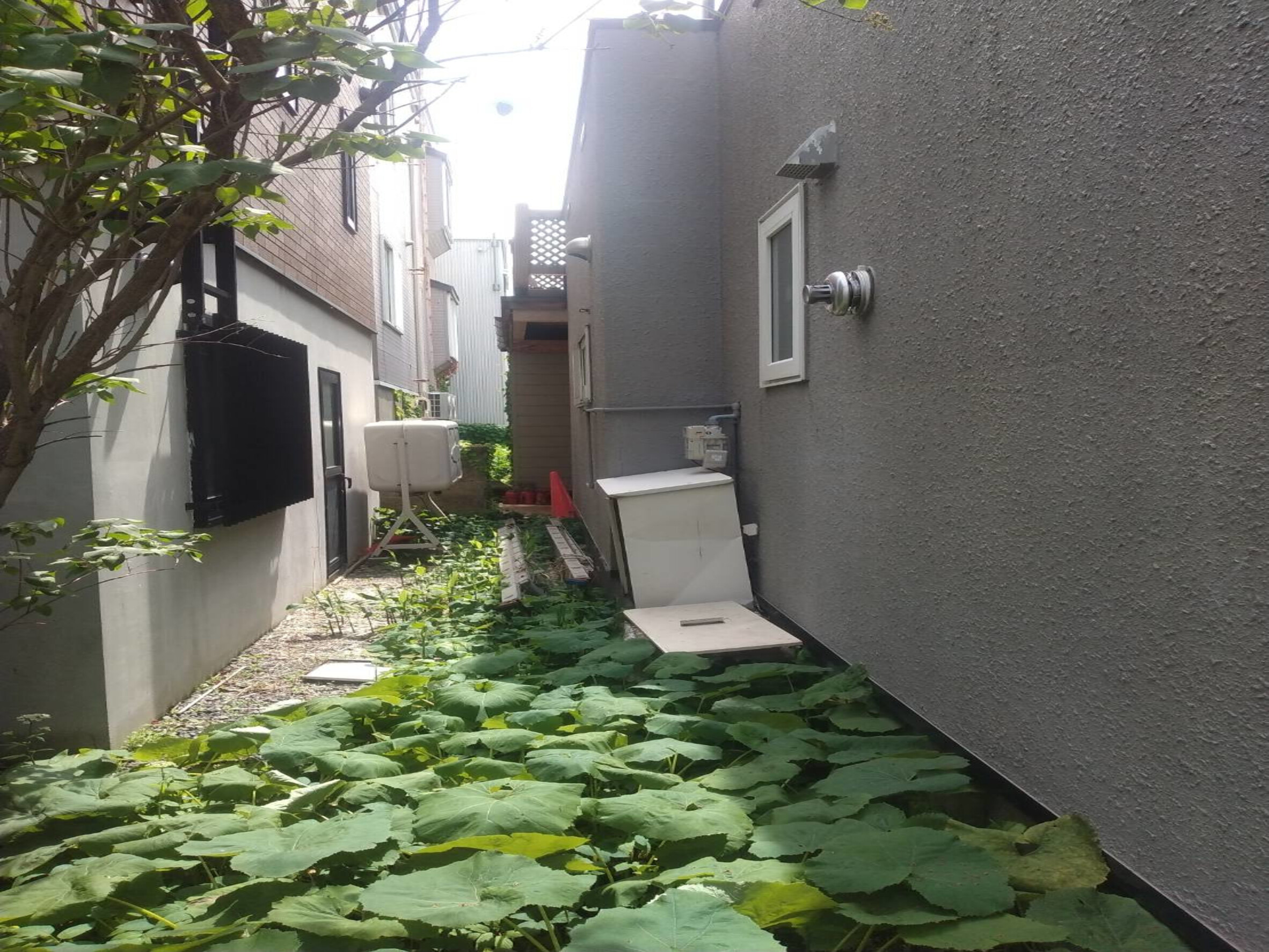 sekoumae(R.6.20~7.25) (2).jpg