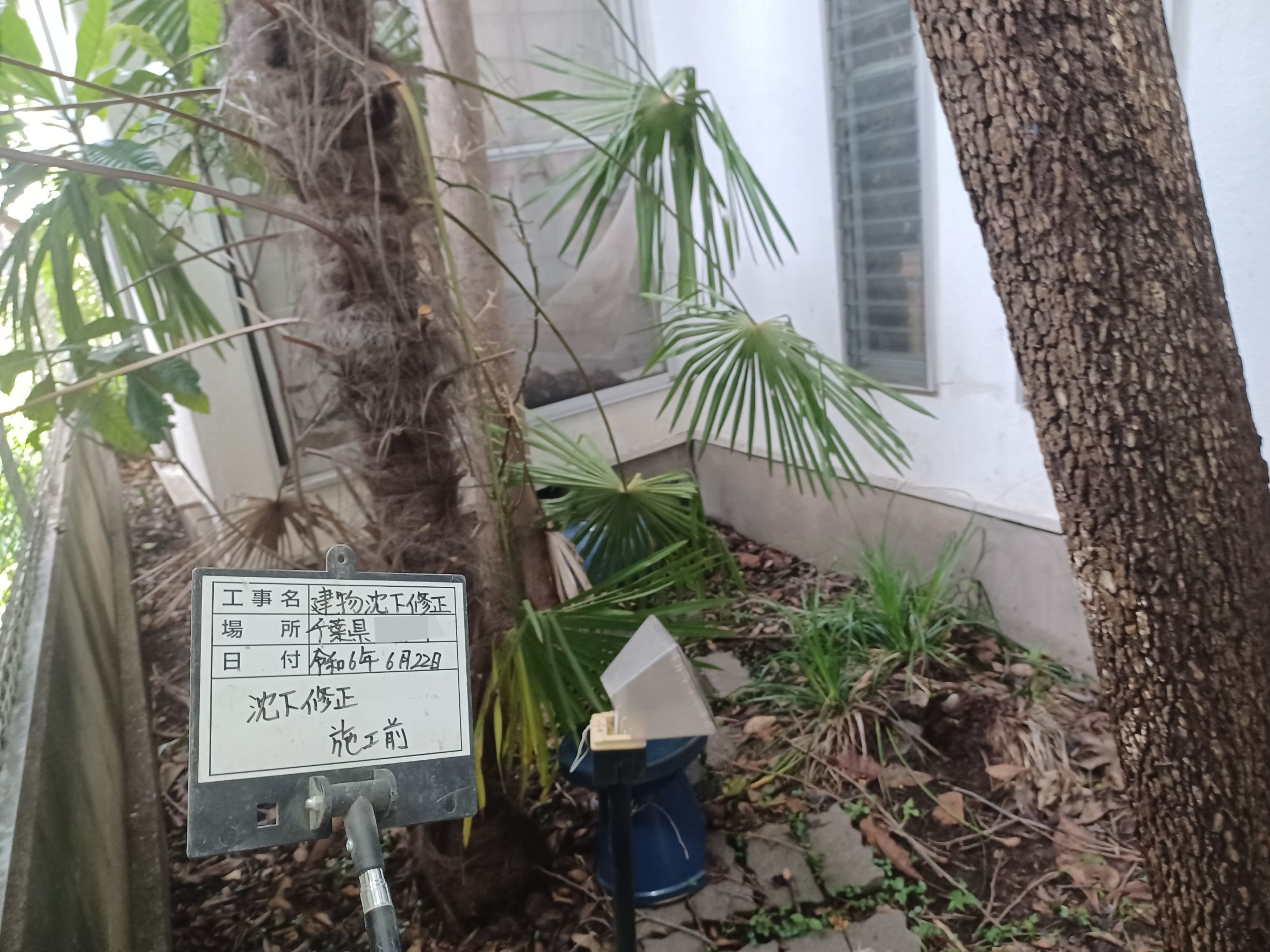 sekoumae(R6.6.22～R6.6.29) (2).jpg