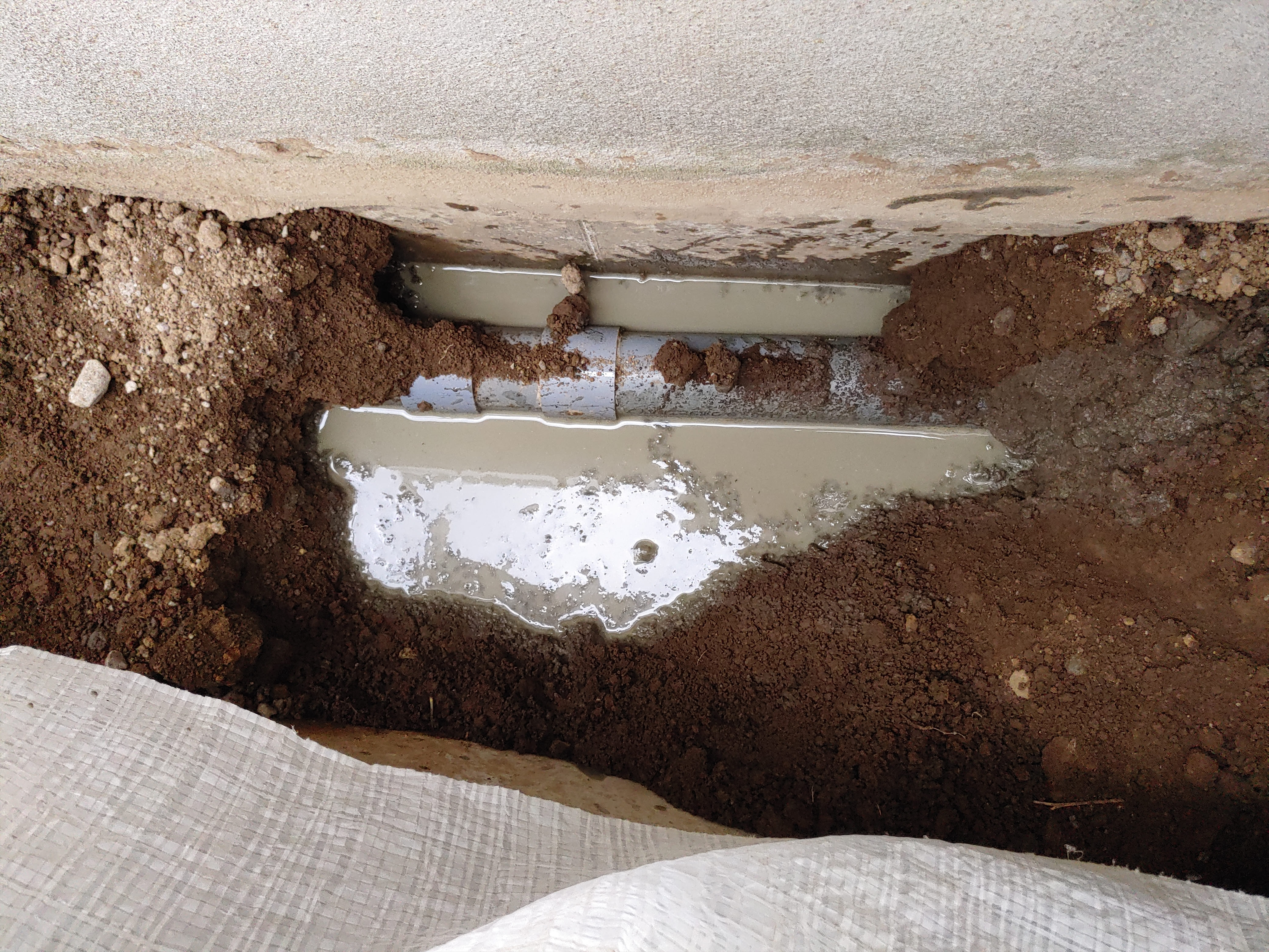 tyuunyuu kan(saitamasiiizimasama).jpg